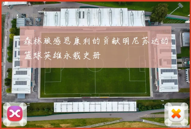 森林狼感恩康利的贡献明尼苏达的篮球英雄永载史册
