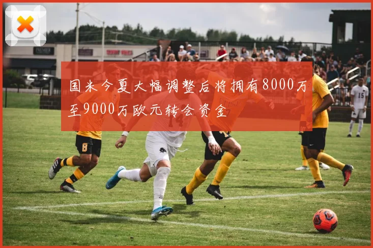 国米今夏大幅调整后将拥有8000万至9000万欧元转会资金